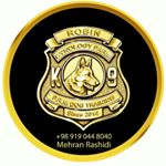 Profile Picture of Mehran Rashidi - Dog trainer (@robin.cynology) on Instagram