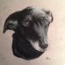 Profile Picture of Nick Isgar (@Nick-Isgar) on Facebook