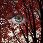 Profile Picture of Cordelia Fox (@cordeliafoxfromcoven) on Instagram