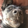 Profile Picture of Ash Nathan (@@dragobars) on Tiktok