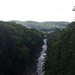 Profile Picture of Colleen Conway-Digiore (@conwaydigiore) on Instagram