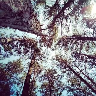 Profile Picture of john (@johnackerman) on Instagram