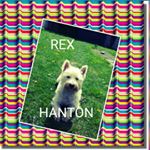 Profile Picture of john hanton (@hantonhome) on Instagram