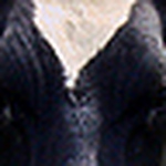 Profile Picture of Paul Cunningham (@kerrypics2011) on Flickr