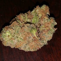 Justin Musick - Quora Profile Picture of Justin Musick (@justin-musick-5) on Quora