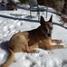 Profile Picture of Brian Dobson (@brian.dobson.98096) on Facebook
