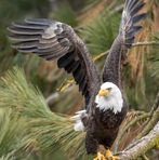 Lisa Zakovsky - Facebook Profile Picture of Lisa Zakovsky (@lisa.zakovsky.1) on Facebook