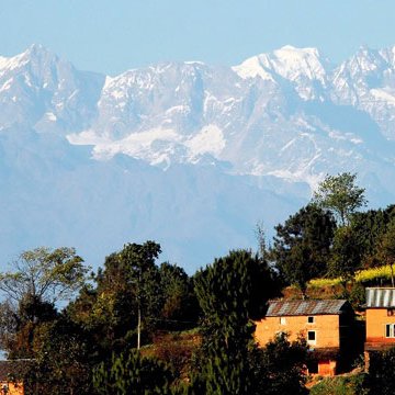 Profile Picture of Rohit Thapa (@thaparohit7655) on Twitter