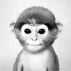 Profile Picture of   karo👸🏽🖤 (@karo.gxv)... (@karo.gxv) on Tiktok