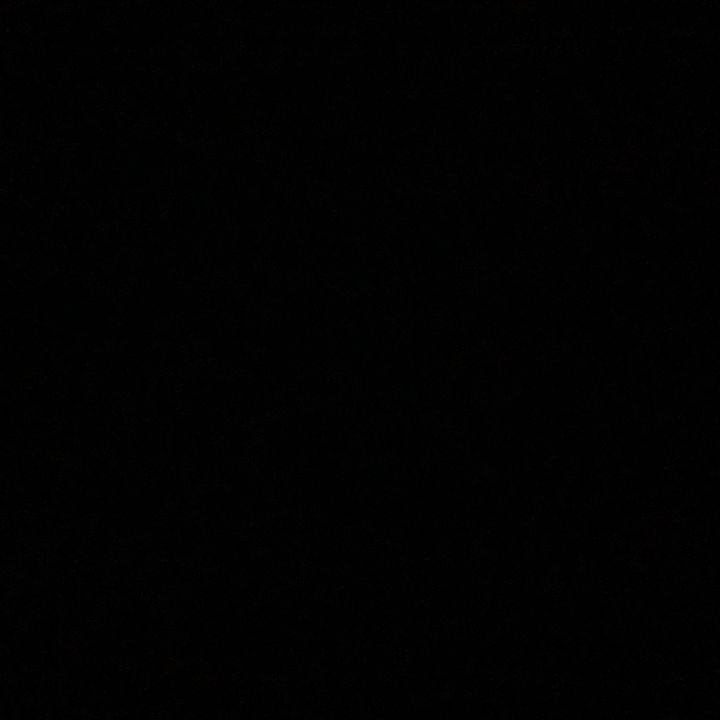 Profile Picture of Adam.Pearson (@adam.pearson__) on Tiktok