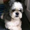 Profile Picture of Tracy Haynes (@@tracyhaynes8) on Tiktok