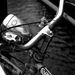 Profile Picture of Robert Moehring (@robertmoehring) on Pinterest