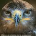 Profile Picture of Ahmad Smith (@asmith3940) on Pinterest