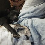 Profile Picture of Keith Blackman (@ke.ith55) on Instagram