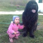 Profile Picture of Almir Hodzic Kima (@almirkima) on Instagram