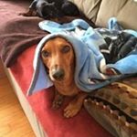 Profile Picture of Larry Allen Blankenship (@larry.a.blankenship) on Instagram