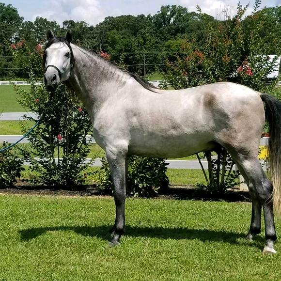 Profile Picture of Linda Klingerman (@lklingerman) on Poshmark