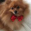 Profile Picture of Beverley Pearson (@@beverleypearson0) on Tiktok
