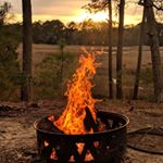 Profile Picture of Erin Stapleton (@saltybadgerwoodcrafts) on Instagram