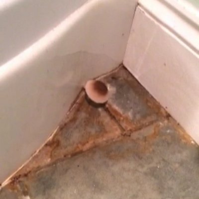 Profile Picture of KSI's Mushroom (@gavin_pollock) on Twitter