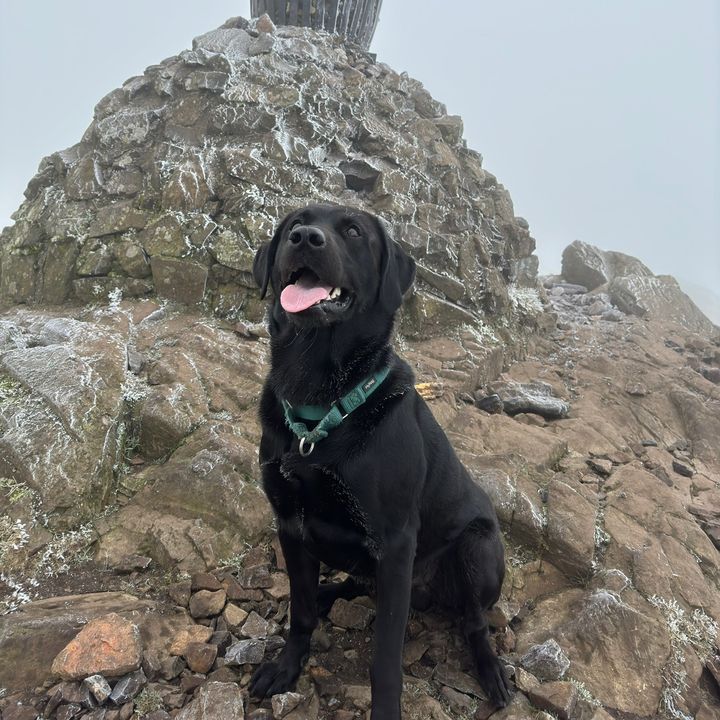 Profile Picture of Reginald Arnold Clark (@reginaldarnoldclark) on Tiktok