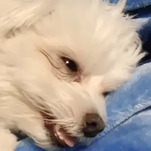 Profile Picture of   KrewTok (@krewtok) TikTok |... (@krewtok) on Tiktok