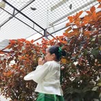 Profile Picture of Azziseyyah Zione Joseph Cesa (@azziseyyah.zione.joseph.cesa) on Facebook