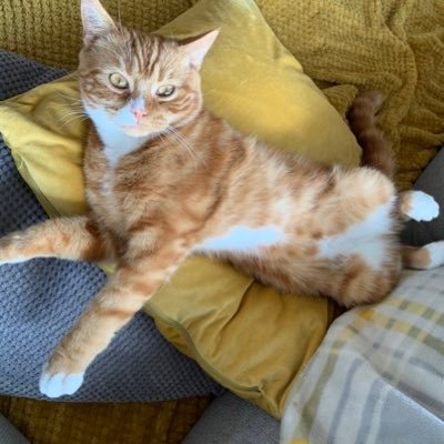 Profile Picture of Joe Horsman (@JoeHorsman2) on Twitter