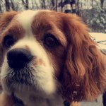 Profile Picture of Jake Sutera (@jakesut33) on Instagram