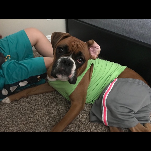 Profile Picture of Audrey Paniagua (@audrey_505) on Poshmark