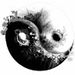Profile Picture of Wojciech Wójcik (@wojtekw732) on Pinterest