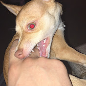 Profile Picture of Jose Moreno (@josedoesmma) on Youtube