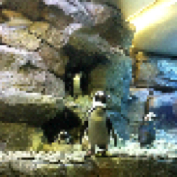 Profile Picture of Wonjung Kim (@aoaojiji) on Poshmark