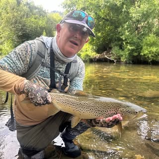 Profile Picture of Steve Dowling (@dowling_steve) on Instagram