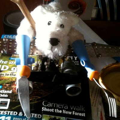 Profile Picture of Marc Krause Duault (@gigondasaddict) on Twitter