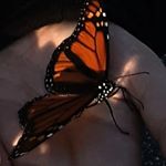 Profile Picture of ☆︎ℝ𝕠𝕨𝕪𝕟 𝔻𝕦𝕓𝕖𝕟𝕖𝕫𝕚𝕔☆︎ (@_rowyn.dubenezic_) on Instagram