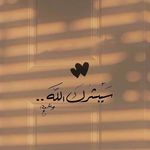 Profile Picture of Shareen Rasheed (@shareenrasheed) on Instagram