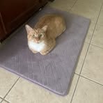 Aaron Barker - Facebook Profile Picture of Aaron Barker (@Aaron-Barker) on Facebook