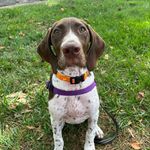 Profile Picture of Sadie Stewart (@adventures.with.sadie) on Instagram