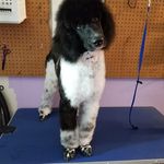 Profile Picture of Shayla Alexander (@shayla.alexander.71) on Instagram