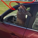 Profile Picture of Randall Mckillip Crubel (@randallmckillipcrubel) on Instagram