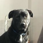 Kyle Falkowski - Instagram Profile Picture of Kyle Falkowski (@kylefalkowski) on Instagram