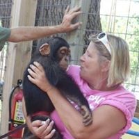 Profile Picture of Lori Stein-nelson (@lori-stein-nelson) on Quora