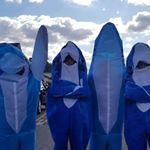 Profile Picture of Steven Layton (@steven_55_30) on Instagram