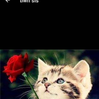 Profile Picture of Haleema Ahmad (@haleema.ahamd) on Facebook