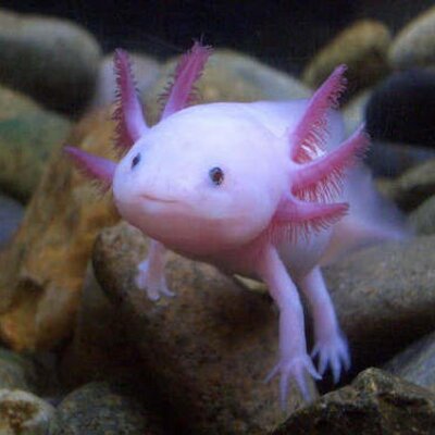 Profile Picture of Alastair Stephens (@@alastairstephen) on Twitter