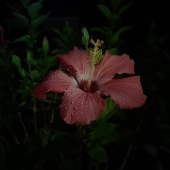 Profile Picture of 😝 (@_abii60) on Tiktok