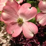 Pam Hanlin - Instagram Profile Picture of Pam Hanlin (@prettybypam) on Instagram