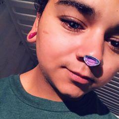 Profile Picture of Chris Karas (@@chriskaras8) on Tiktok