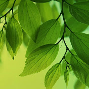 Profile Picture of Julio Calero (@juliocalero7116) on Youtube